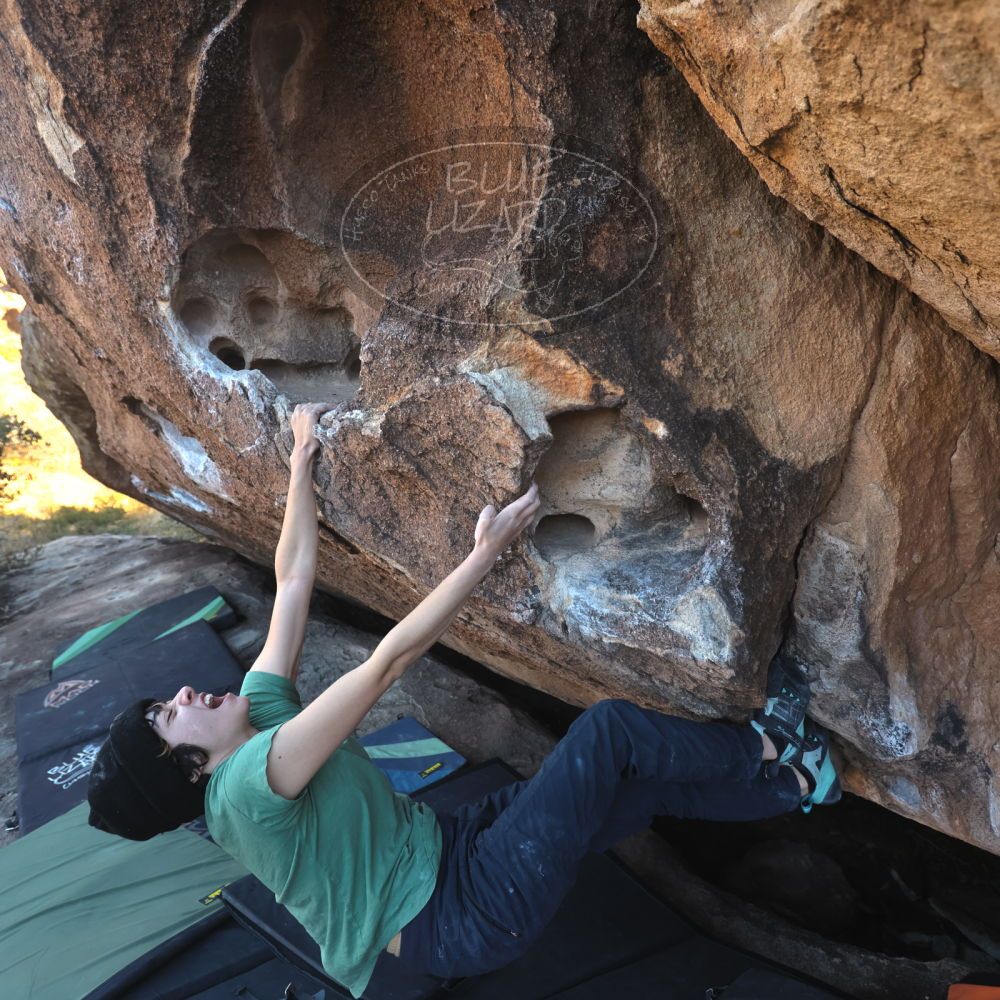 

Filename: SRM_20251126_1506002.jpg
Aperture: f/4.0
Shutter Speed: 1/400
Body: Canon EOS R6
Lens: Canon EF 16-35mm f/2.8 L