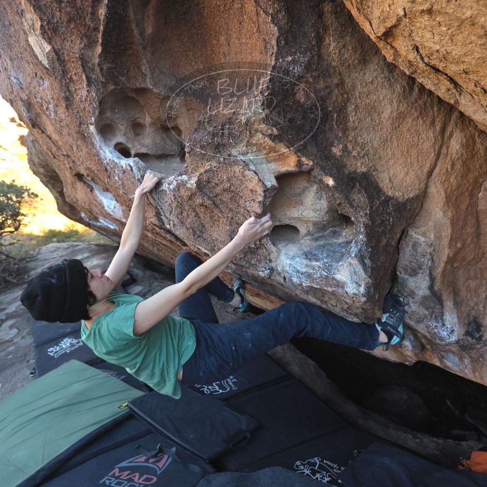 

Filename: SRM_20251126_1506040.jpg
Aperture: f/4.0
Shutter Speed: 1/400
Body: Canon EOS R6
Lens: Canon EF 16-35mm f/2.8 L