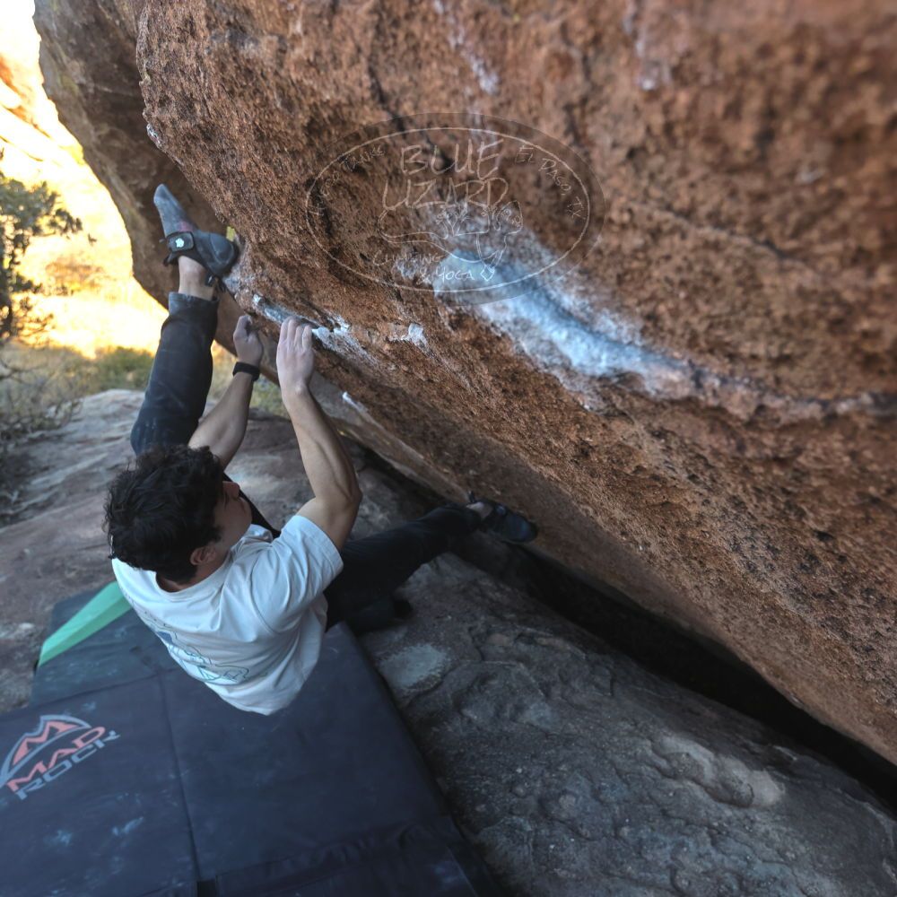 

Filename: SRM_20251126_1510140.jpg
Aperture: f/4.0
Shutter Speed: 1/400
Body: Canon EOS R6
Lens: Canon EF 16-35mm f/2.8 L