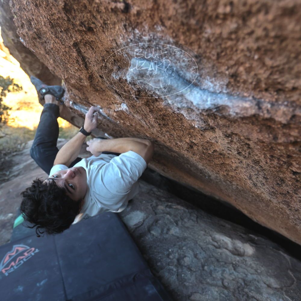 

Filename: SRM_20251126_1510210.jpg
Aperture: f/4.0
Shutter Speed: 1/400
Body: Canon EOS R6
Lens: Canon EF 16-35mm f/2.8 L