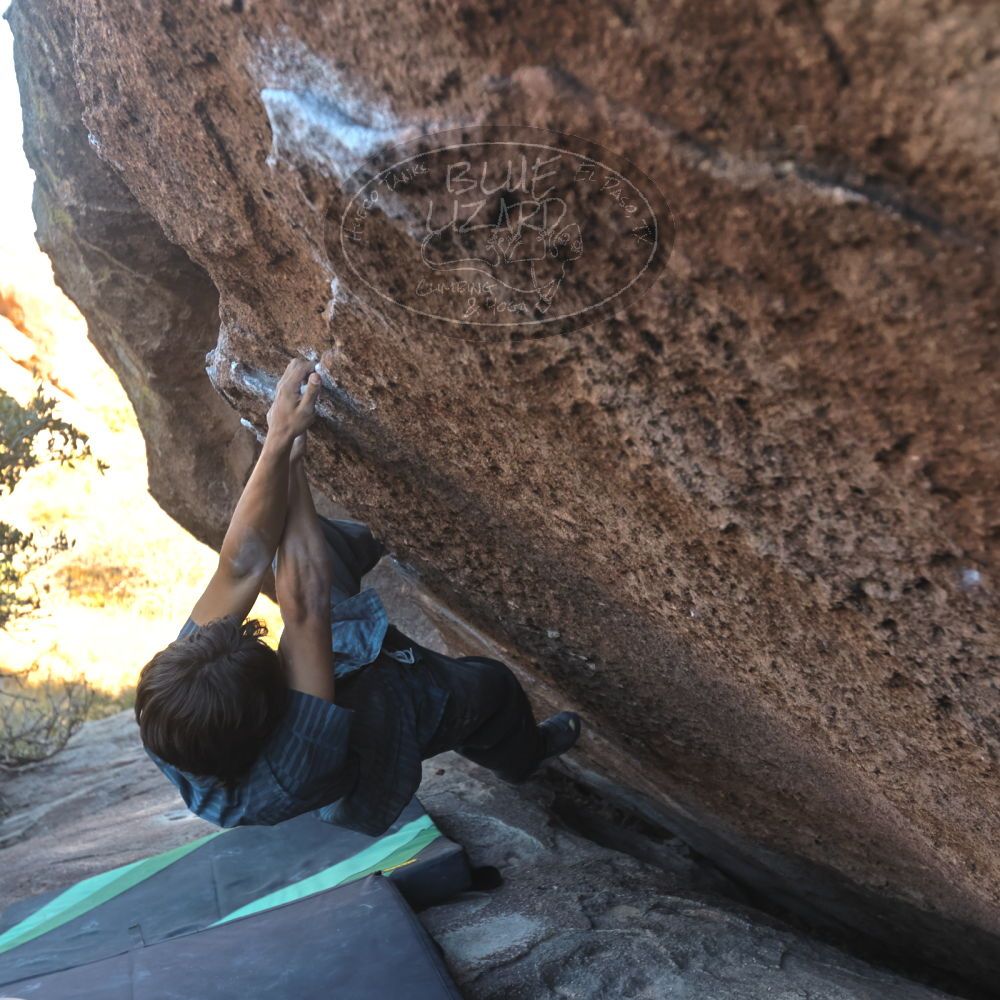 Filename: SRM_20251126_1513220.jpg
Aperture: f/4.0
Shutter Speed: 1/400
Body: Canon EOS R6
Lens: Canon EF 16-35mm f/2.8 L