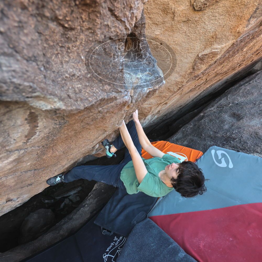 

Filename: SRM_20251126_1513580.jpg
Aperture: f/4.0
Shutter Speed: 1/400
Body: Canon EOS R6
Lens: Canon EF 16-35mm f/2.8 L