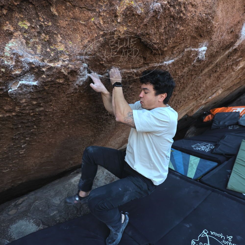 

Filename: SRM_20251126_1516531.jpg
Aperture: f/4.0
Shutter Speed: 1/400
Body: Canon EOS R6
Lens: Canon EF 16-35mm f/2.8 L