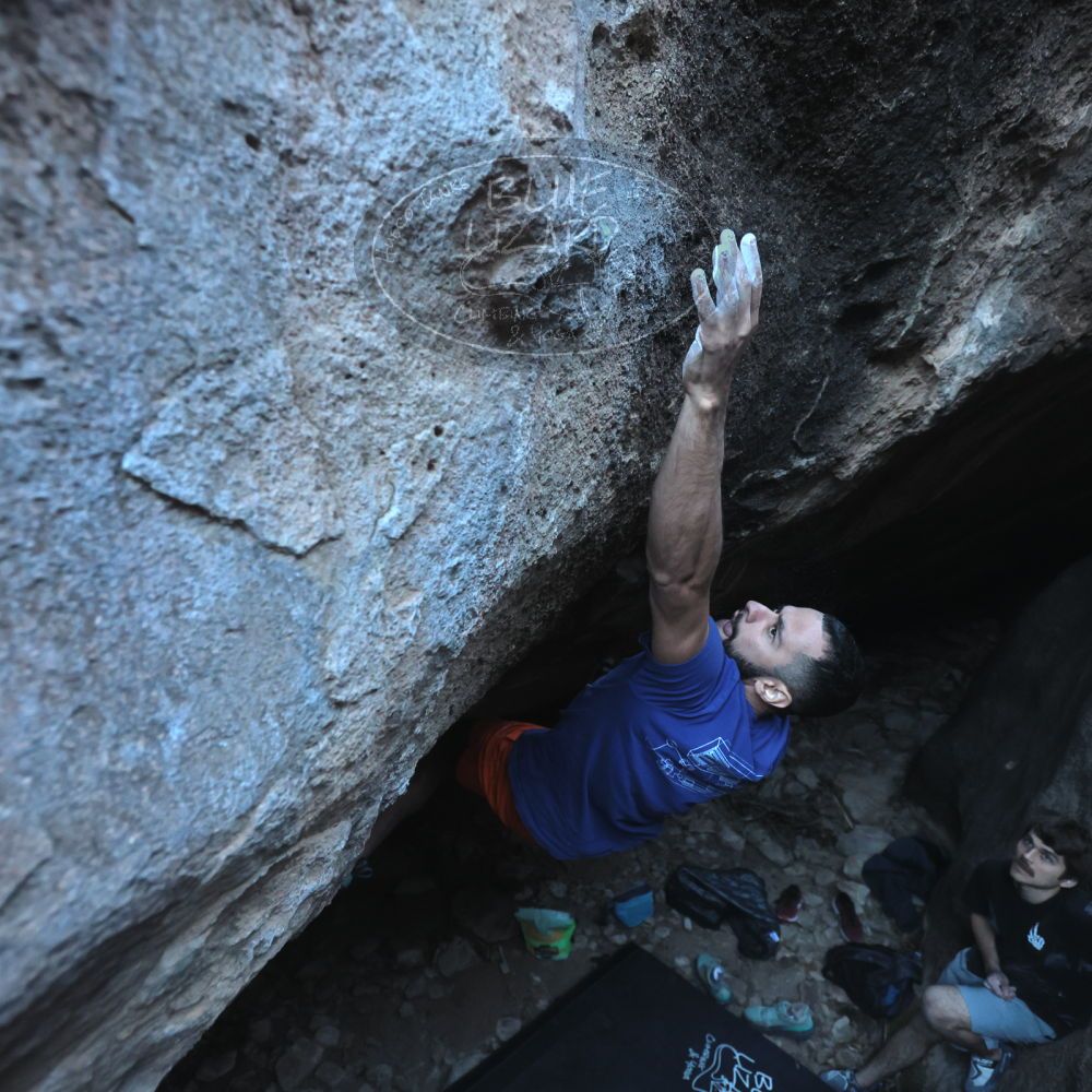 

Filename: SRM_20251126_1544500.jpg
Aperture: f/4.0
Shutter Speed: 1/400
Body: Canon EOS R6
Lens: Canon EF 16-35mm f/2.8 L