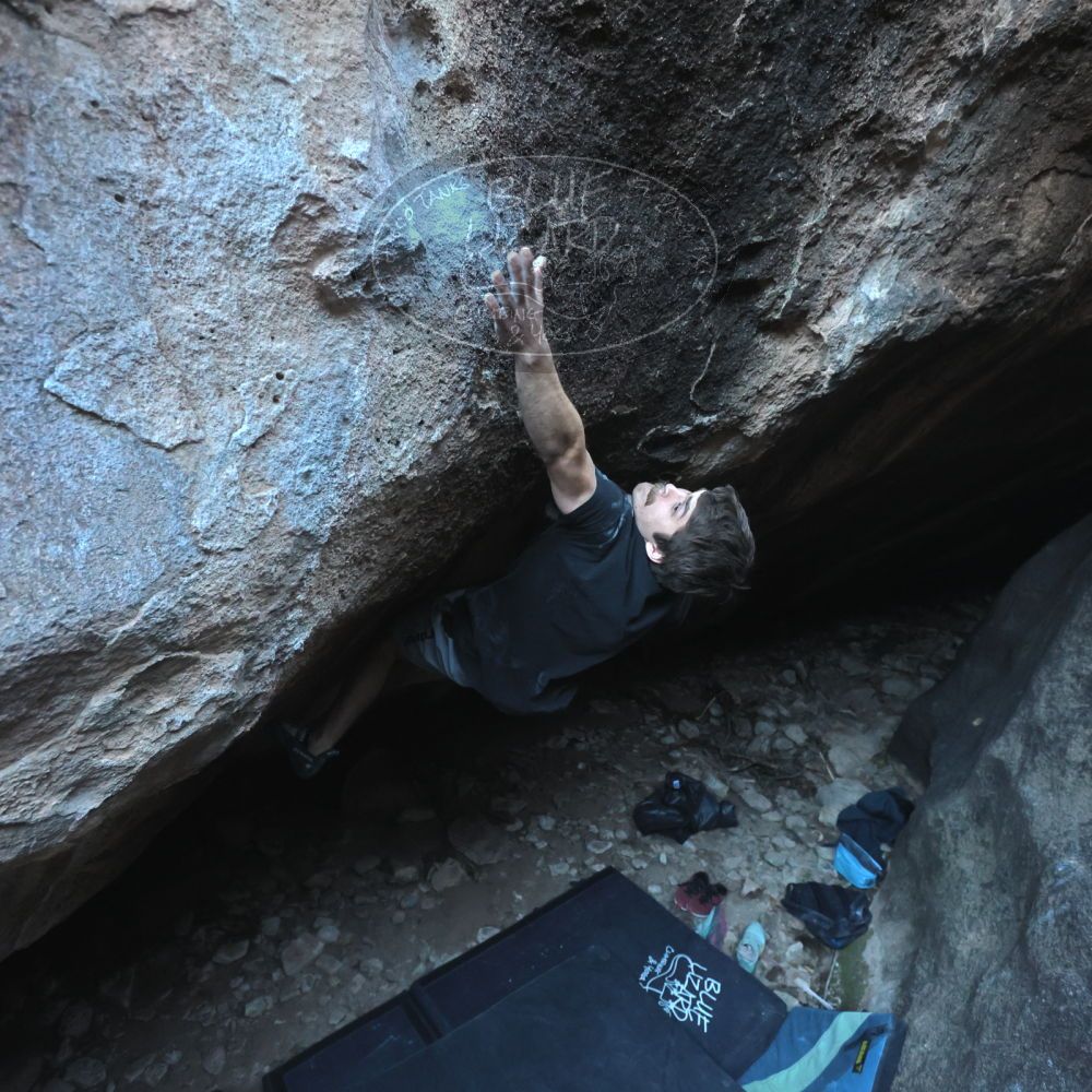 

Filename: SRM_20251126_1606240.jpg
Aperture: f/4.0
Shutter Speed: 1/400
Body: Canon EOS R6
Lens: Canon EF 16-35mm f/2.8 L