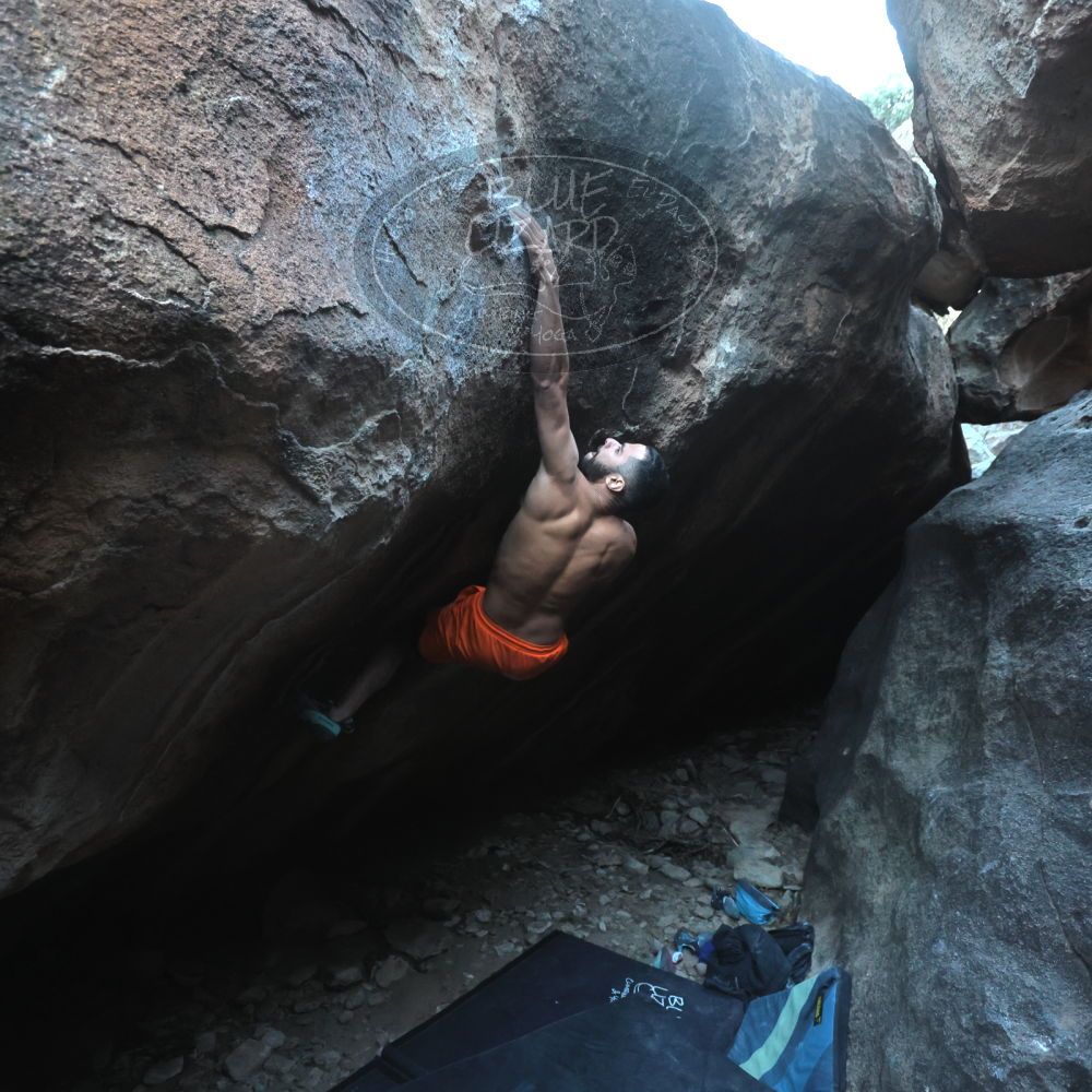 

Filename: SRM_20251126_1626470.jpg
Aperture: f/4.0
Shutter Speed: 1/400
Body: Canon EOS R6
Lens: Canon EF 16-35mm f/2.8 L