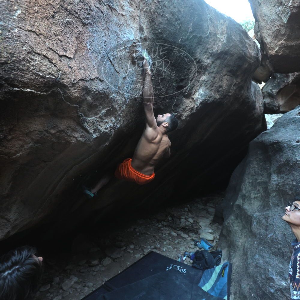 

Filename: SRM_20251126_1626480.jpg
Aperture: f/4.0
Shutter Speed: 1/400
Body: Canon EOS R6
Lens: Canon EF 16-35mm f/2.8 L