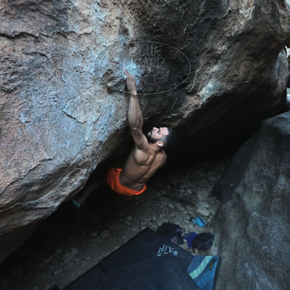 

Filename: SRM_20251126_1638080.jpg
Aperture: f/4.0
Shutter Speed: 1/400
Body: Canon EOS R6
Lens: Canon EF 16-35mm f/2.8 L