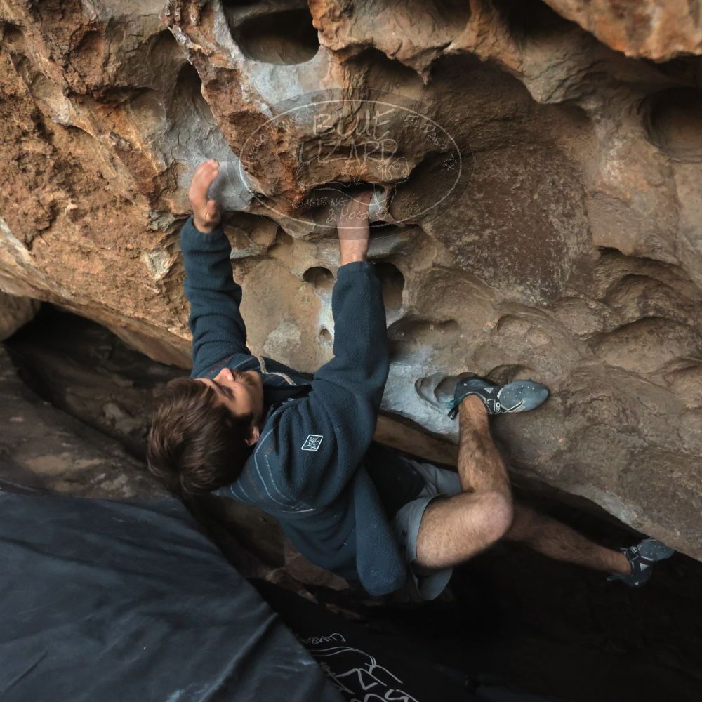 

Filename: SRM_20251126_1711110.jpg
Aperture: f/4.0
Shutter Speed: 1/400
Body: Canon EOS R6
Lens: Canon EF 16-35mm f/2.8 L