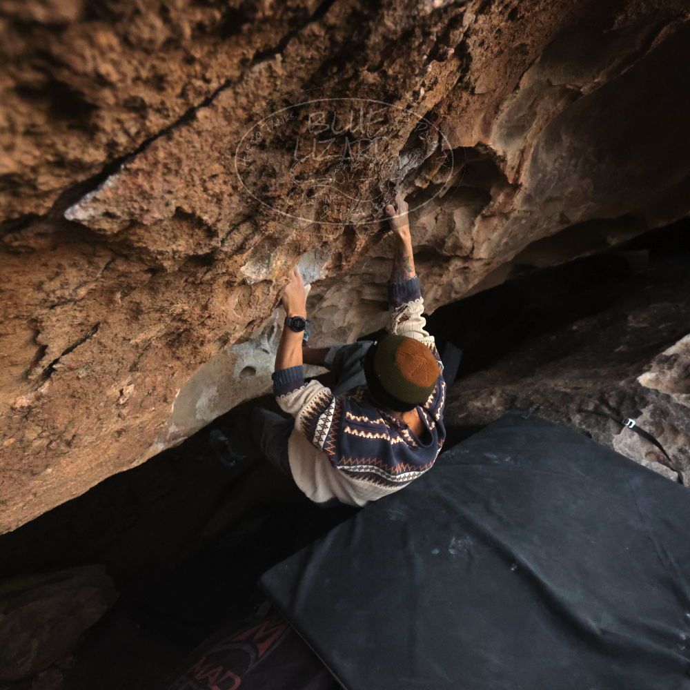 

Filename: SRM_20251126_1714520.jpg
Aperture: f/4.0
Shutter Speed: 1/400
Body: Canon EOS R6
Lens: Canon EF 16-35mm f/2.8 L