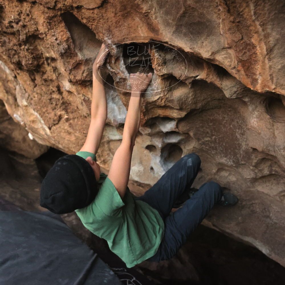 Filename: SRM_20251126_1716550.jpg
Aperture: f/4.0
Shutter Speed: 1/250
Body: Canon EOS R6
Lens: Canon EF 16-35mm f/2.8 L