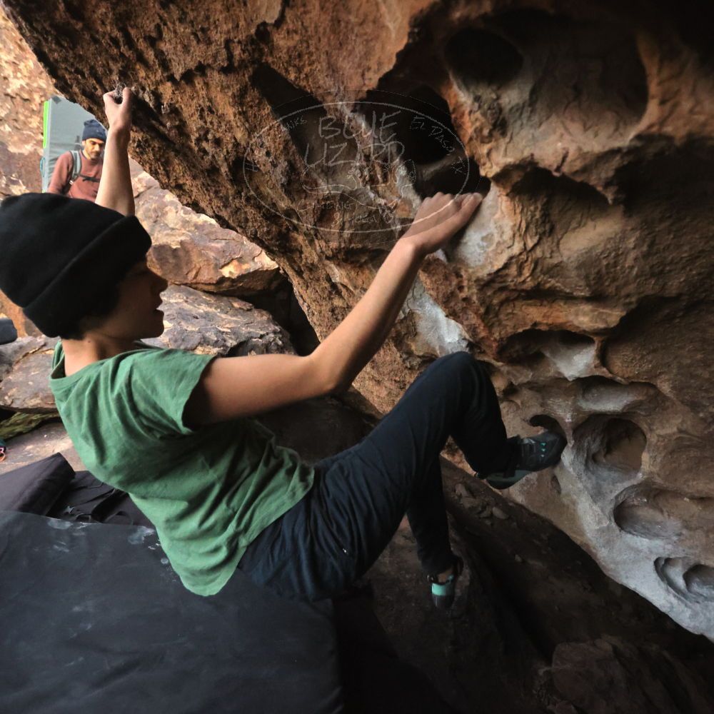 Filename: SRM_20251126_1717230.jpg
Aperture: f/4.0
Shutter Speed: 1/250
Body: Canon EOS R6
Lens: Canon EF 16-35mm f/2.8 L