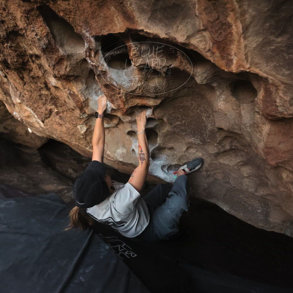 

Filename: SRM_20251126_1718320.jpg
Aperture: f/4.0
Shutter Speed: 1/250
Body: Canon EOS R6
Lens: Canon EF 16-35mm f/2.8 L