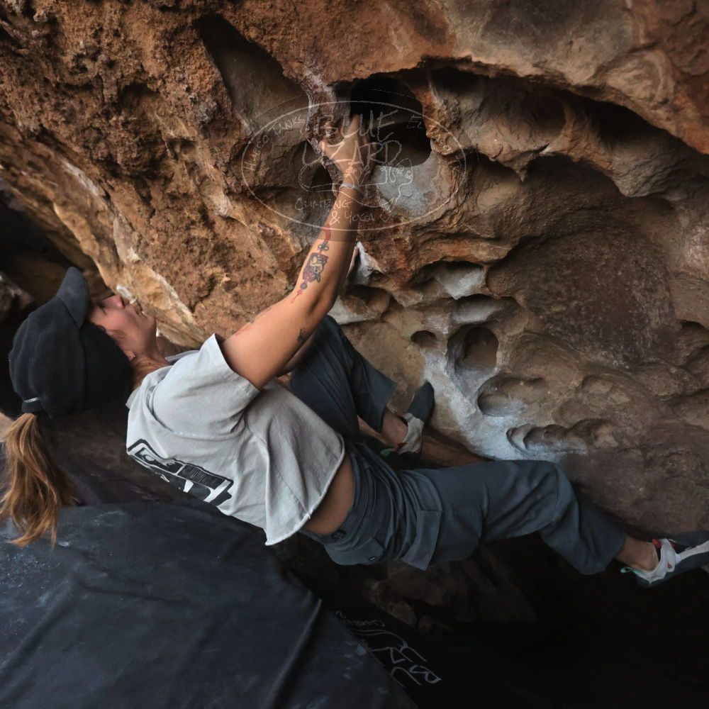 

Filename: SRM_20251126_1718370.jpg
Aperture: f/4.0
Shutter Speed: 1/250
Body: Canon EOS R6
Lens: Canon EF 16-35mm f/2.8 L