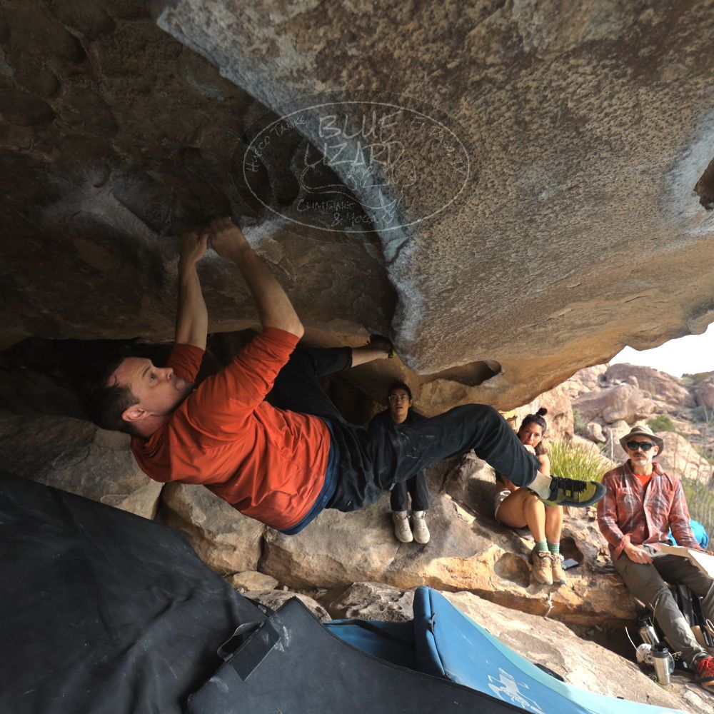 

Filename: SRM_20251128_1122180.jpg
Aperture: f/4.0
Shutter Speed: 1/400
Body: Canon EOS R6
Lens: Canon EF 16-35mm f/2.8 L