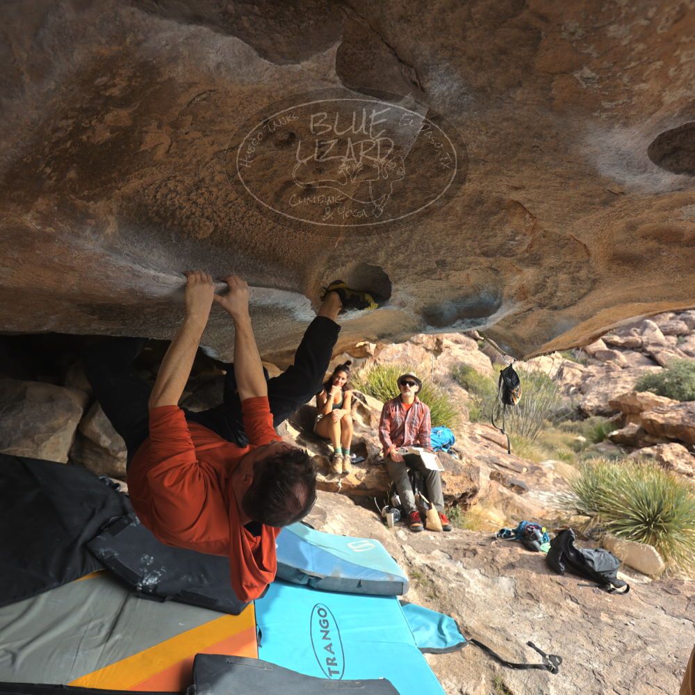 

Filename: SRM_20251128_1122300.jpg
Aperture: f/4.0
Shutter Speed: 1/400
Body: Canon EOS R6
Lens: Canon EF 16-35mm f/2.8 L