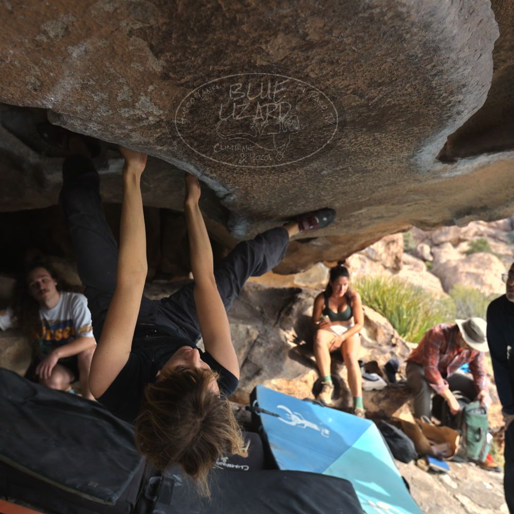 

Filename: SRM_20251128_1128490.jpg
Aperture: f/4.0
Shutter Speed: 1/400
Body: Canon EOS R6
Lens: Canon EF 16-35mm f/2.8 L