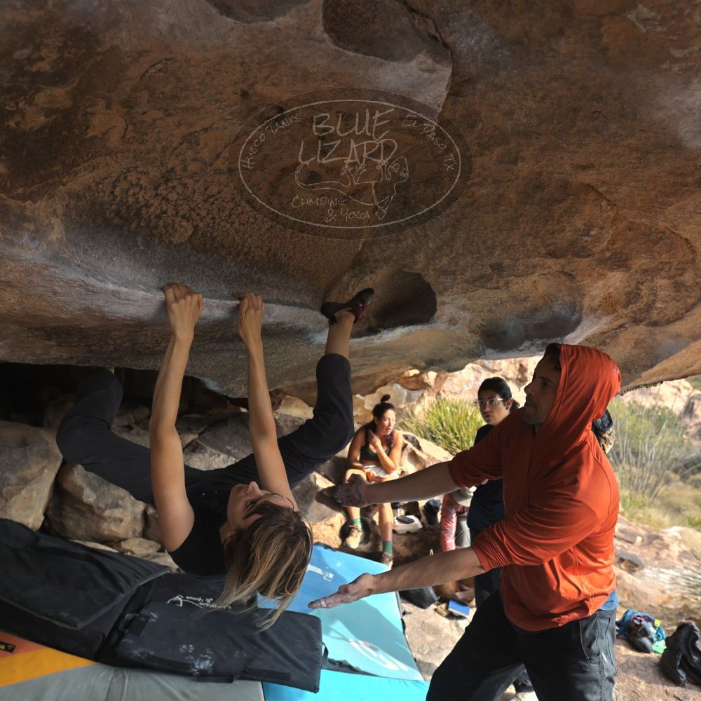 

Filename: SRM_20251128_1128570.jpg
Aperture: f/4.0
Shutter Speed: 1/400
Body: Canon EOS R6
Lens: Canon EF 16-35mm f/2.8 L