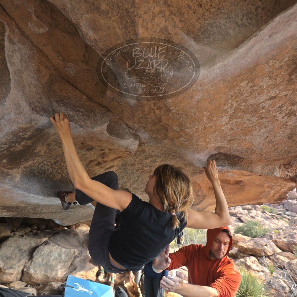 Filename: SRM_20251128_1129150.jpg
Aperture: f/4.0
Shutter Speed: 1/400
Body: Canon EOS R6
Lens: Canon EF 16-35mm f/2.8 L