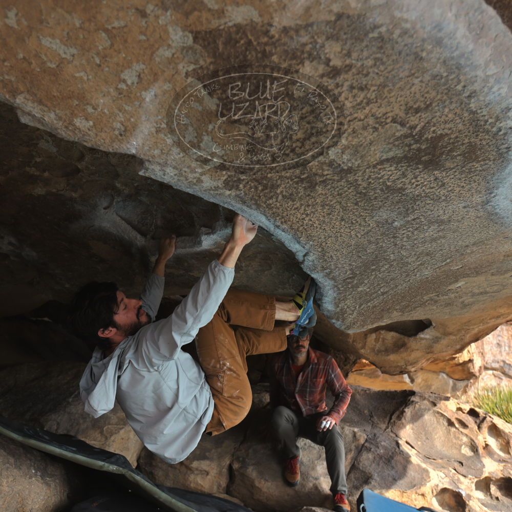 Filename: SRM_20251128_1136430.jpg
Aperture: f/4.0
Shutter Speed: 1/400
Body: Canon EOS R6
Lens: Canon EF 16-35mm f/2.8 L