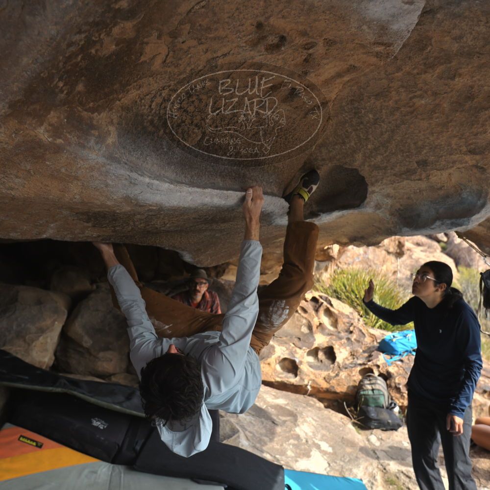 Filename: SRM_20251128_1137070.jpg
Aperture: f/4.0
Shutter Speed: 1/400
Body: Canon EOS R6
Lens: Canon EF 16-35mm f/2.8 L