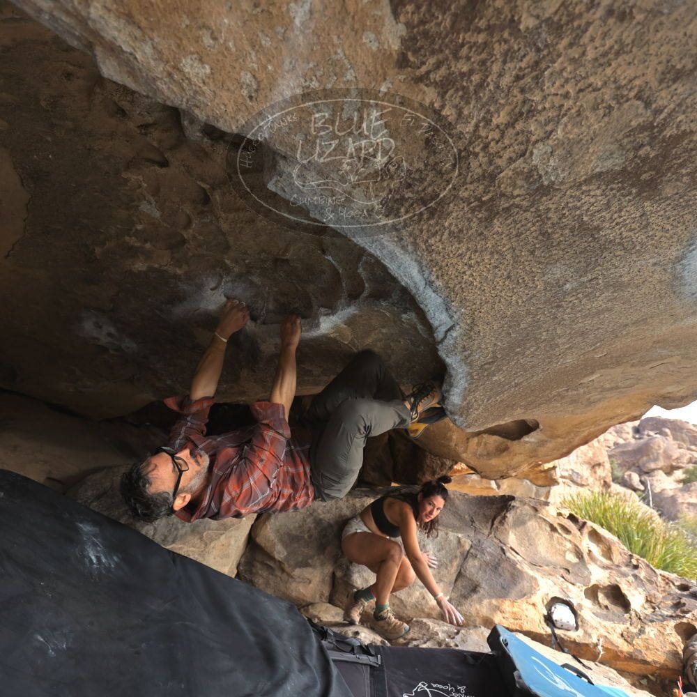 Filename: SRM_20251128_1143500.jpg
Aperture: f/4.0
Shutter Speed: 1/400
Body: Canon EOS R6
Lens: Canon EF 16-35mm f/2.8 L