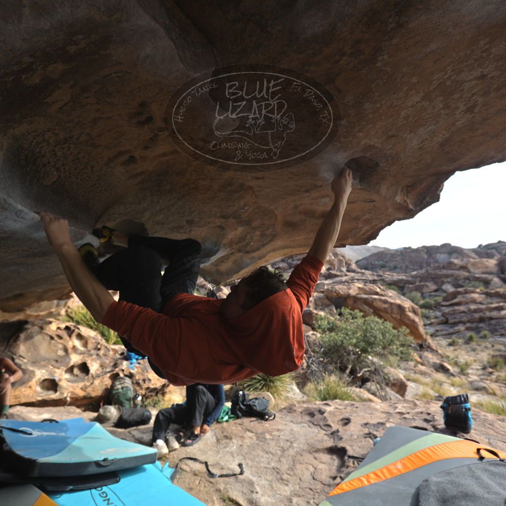 Filename: SRM_20251128_1145160.jpg
Aperture: f/4.0
Shutter Speed: 1/400
Body: Canon EOS R6
Lens: Canon EF 16-35mm f/2.8 L