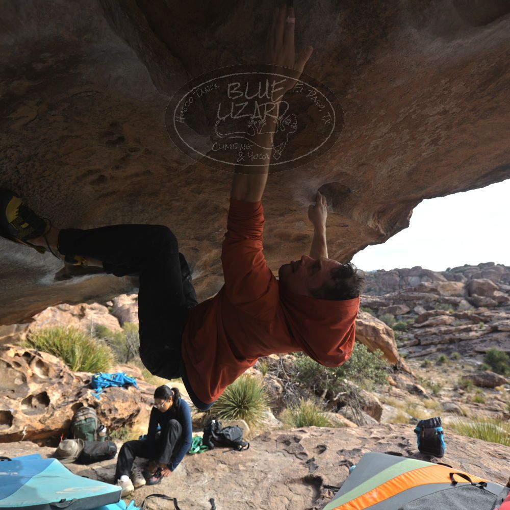 

Filename: SRM_20251128_1145180.jpg
Aperture: f/4.0
Shutter Speed: 1/400
Body: Canon EOS R6
Lens: Canon EF 16-35mm f/2.8 L