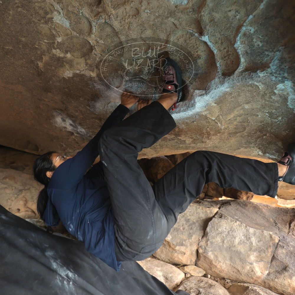 Filename: SRM_20251128_1154350.jpg
Aperture: f/4.0
Shutter Speed: 1/60
Body: Canon EOS R6
Lens: Canon EF 16-35mm f/2.8 L