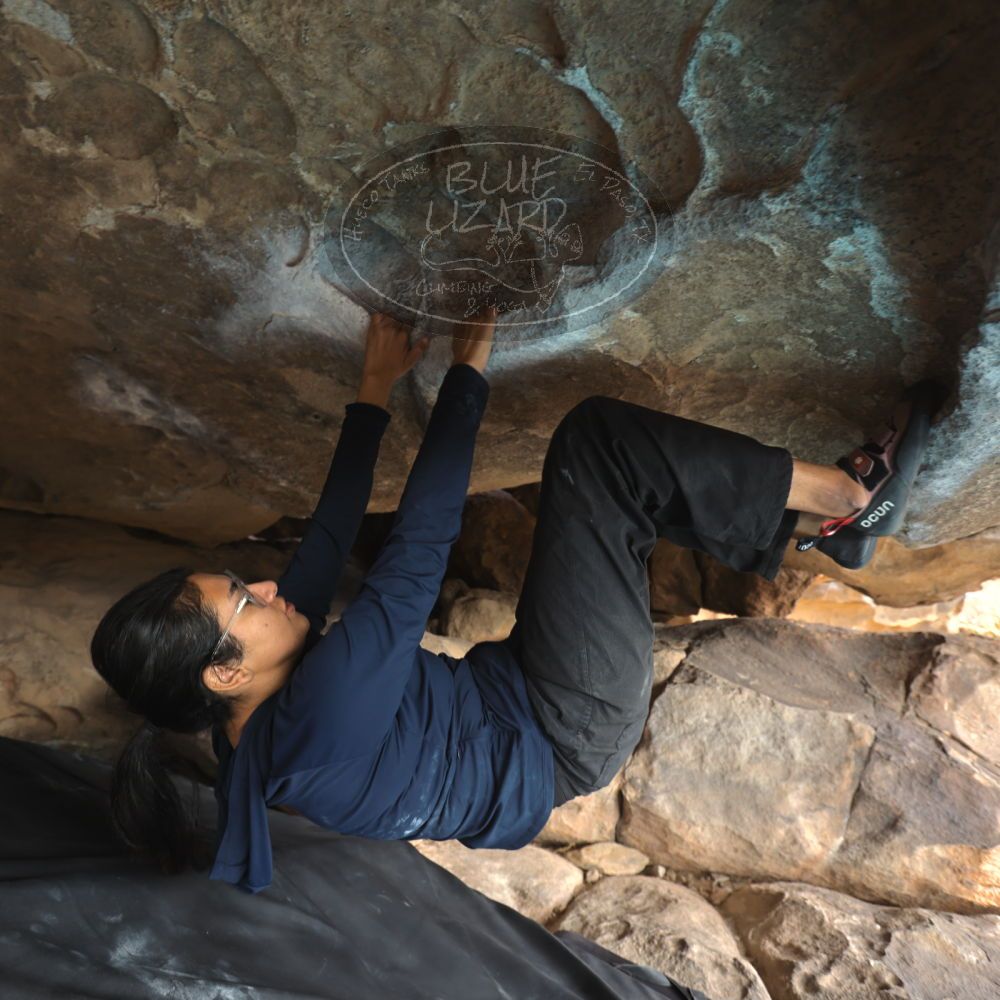 Filename: SRM_20251128_1154380.jpg
Aperture: f/4.0
Shutter Speed: 1/80
Body: Canon EOS R6
Lens: Canon EF 16-35mm f/2.8 L