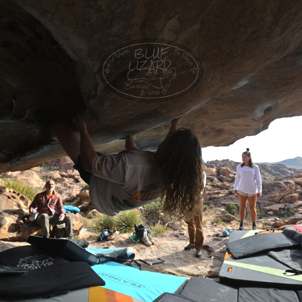 Filename: SRM_20251128_1200030.jpg
Aperture: f/4.0
Shutter Speed: 1/500
Body: Canon EOS R6
Lens: Canon EF 16-35mm f/2.8 L