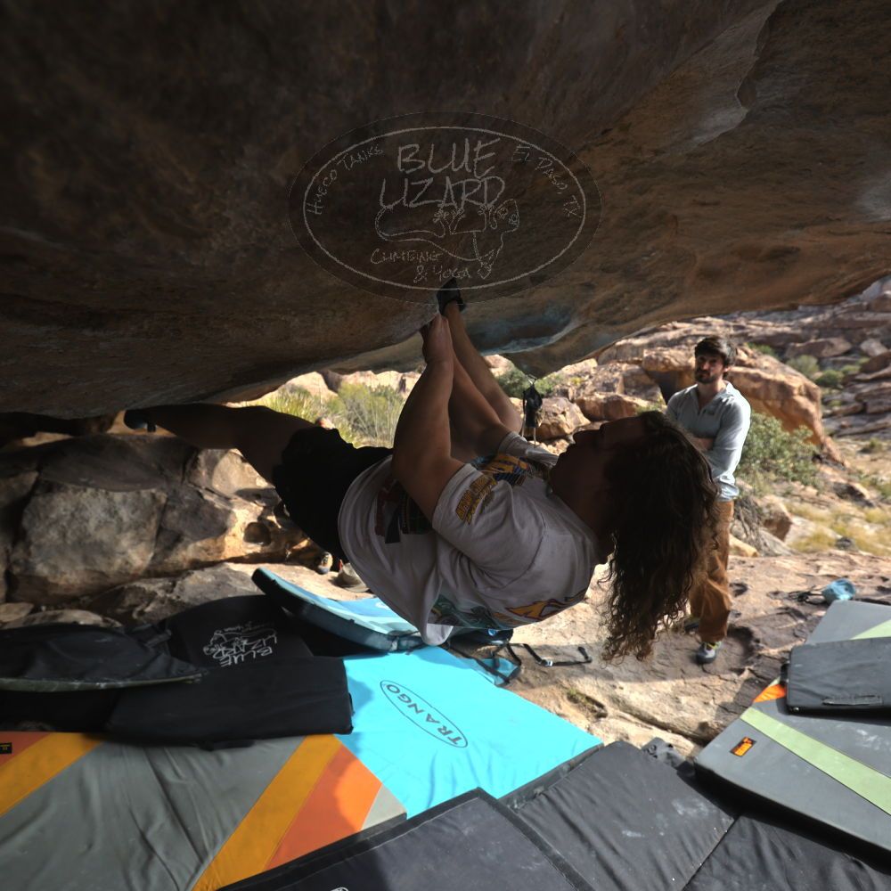 

Filename: SRM_20251128_1200120.jpg
Aperture: f/4.0
Shutter Speed: 1/500
Body: Canon EOS R6
Lens: Canon EF 16-35mm f/2.8 L