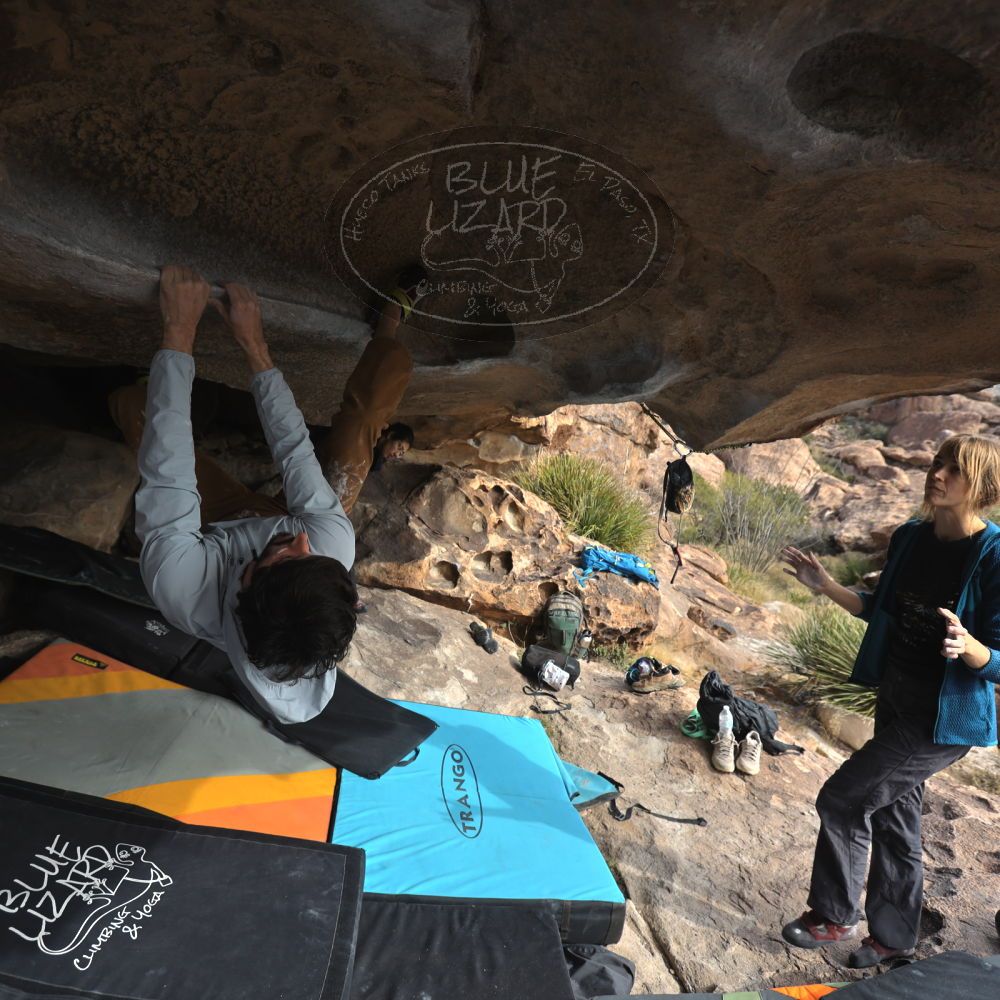 Filename: SRM_20251128_1209340.jpg
Aperture: f/4.0
Shutter Speed: 1/400
Body: Canon EOS R6
Lens: Canon EF 16-35mm f/2.8 L