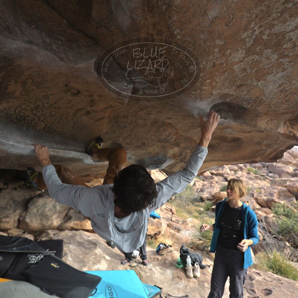 Filename: SRM_20251128_1209390.jpg
Aperture: f/4.0
Shutter Speed: 1/250
Body: Canon EOS R6
Lens: Canon EF 16-35mm f/2.8 L