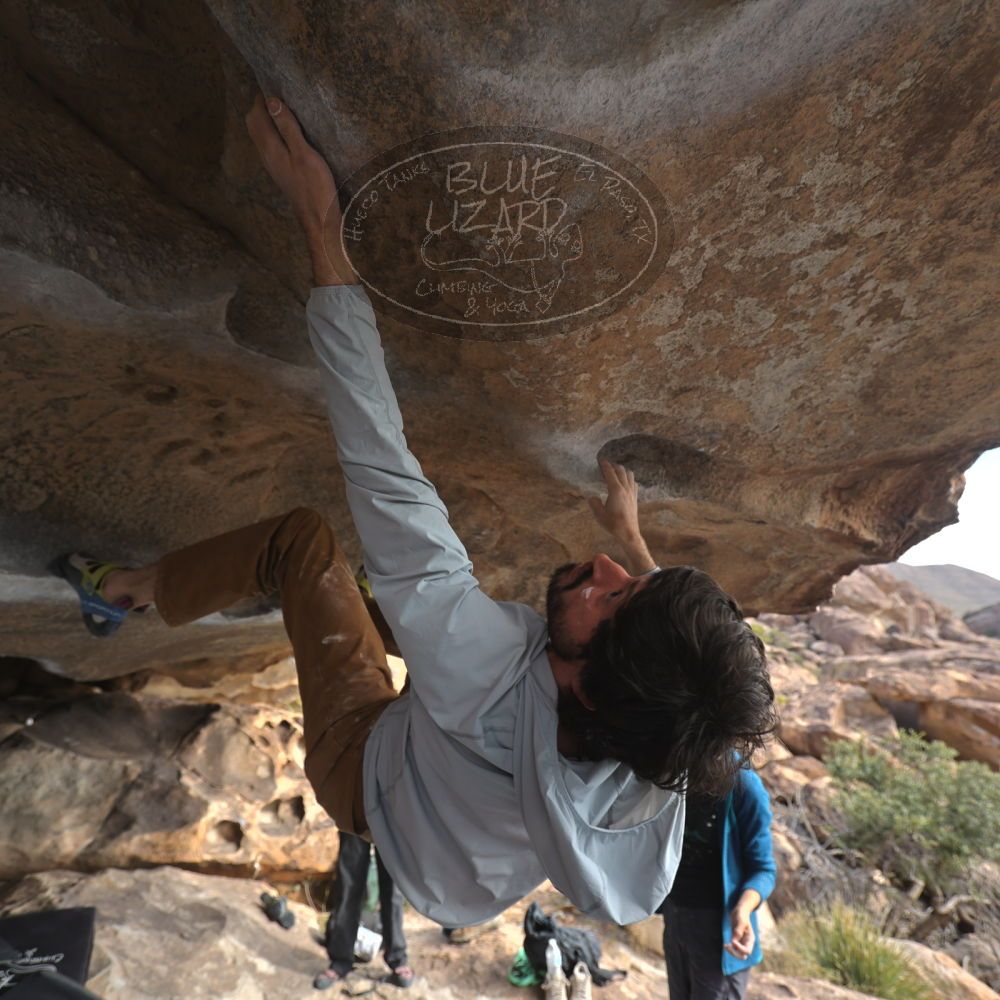 Filename: SRM_20251128_1209420.jpg
Aperture: f/4.0
Shutter Speed: 1/250
Body: Canon EOS R6
Lens: Canon EF 16-35mm f/2.8 L