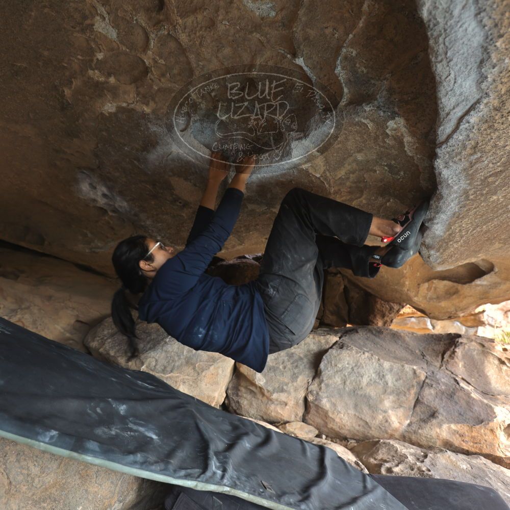 Filename: SRM_20251128_1215030.jpg
Aperture: f/4.0
Shutter Speed: 1/80
Body: Canon EOS R6
Lens: Canon EF 16-35mm f/2.8 L