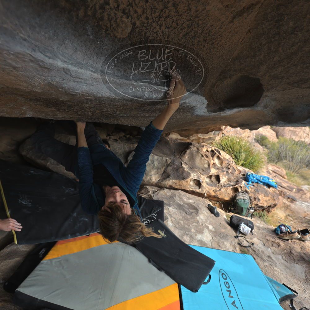 

Filename: SRM_20251128_1216050.jpg
Aperture: f/4.0
Shutter Speed: 1/320
Body: Canon EOS R6
Lens: Canon EF 16-35mm f/2.8 L