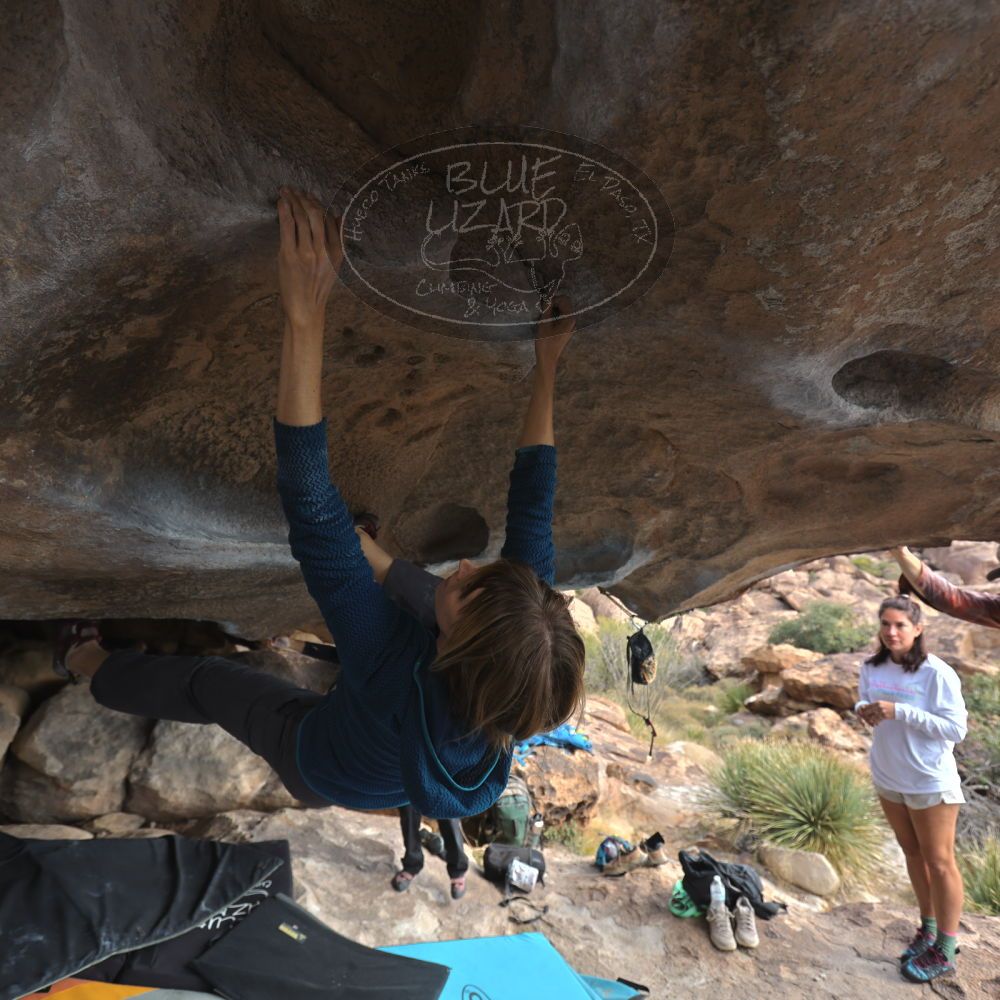 

Filename: SRM_20251128_1216210.jpg
Aperture: f/4.0
Shutter Speed: 1/200
Body: Canon EOS R6
Lens: Canon EF 16-35mm f/2.8 L