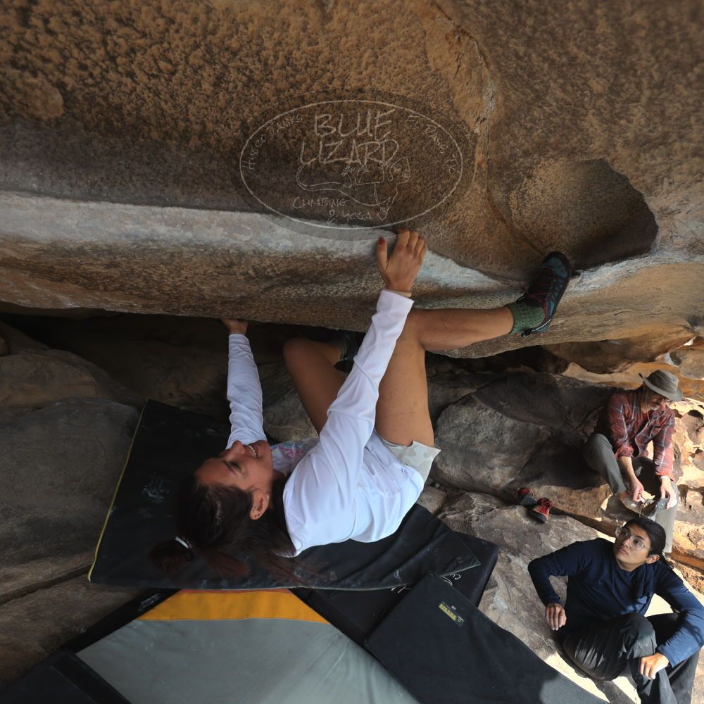 

Filename: SRM_20251128_1220090.jpg
Aperture: f/4.0
Shutter Speed: 1/500
Body: Canon EOS R6
Lens: Canon EF 16-35mm f/2.8 L