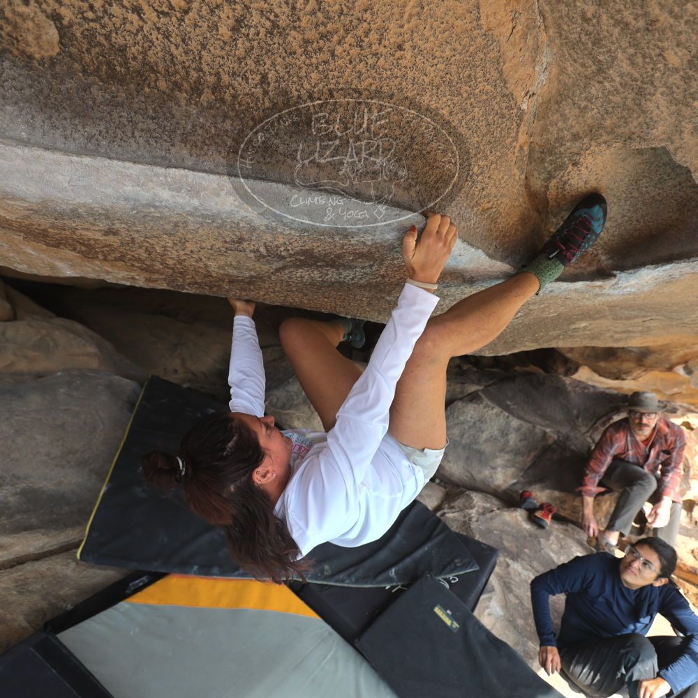 Filename: SRM_20251128_1220150.jpg
Aperture: f/4.0
Shutter Speed: 1/320
Body: Canon EOS R6
Lens: Canon EF 16-35mm f/2.8 L