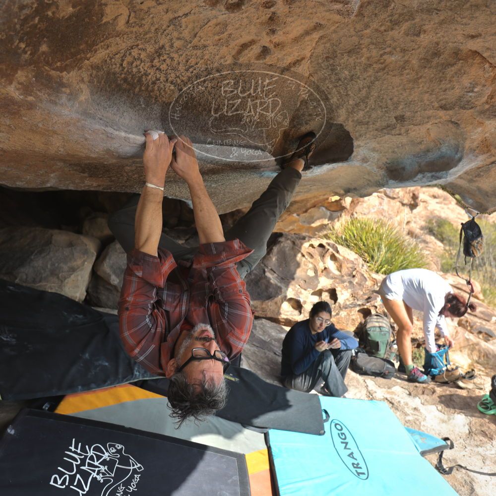 

Filename: SRM_20251128_1222221.jpg
Aperture: f/4.0
Shutter Speed: 1/400
Body: Canon EOS R6
Lens: Canon EF 16-35mm f/2.8 L