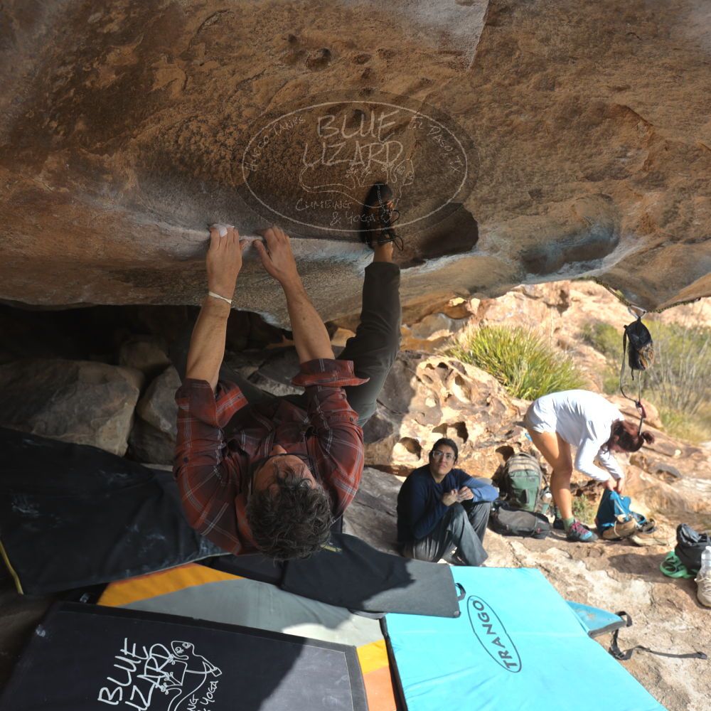 

Filename: SRM_20251128_1222300.jpg
Aperture: f/4.0
Shutter Speed: 1/500
Body: Canon EOS R6
Lens: Canon EF 16-35mm f/2.8 L