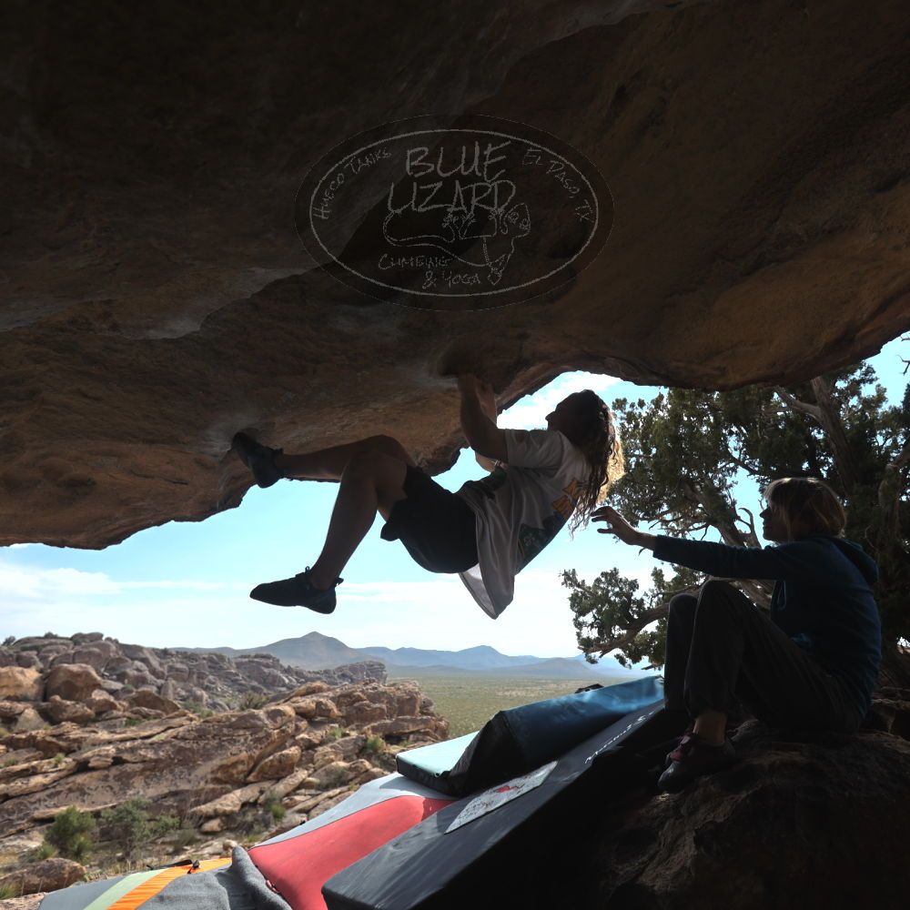 

Filename: SRM_20251128_1230120.jpg
Aperture: f/4.0
Shutter Speed: 1/1250
Body: Canon EOS R6
Lens: Canon EF 16-35mm f/2.8 L