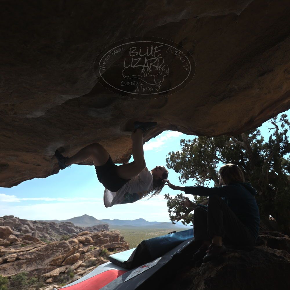 Filename: SRM_20251128_1230150.jpg
Aperture: f/4.0
Shutter Speed: 1/1600
Body: Canon EOS R6
Lens: Canon EF 16-35mm f/2.8 L