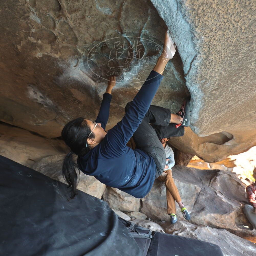 

Filename: SRM_20251128_1235590.jpg
Aperture: f/4.0
Shutter Speed: 1/125
Body: Canon EOS R6
Lens: Canon EF 16-35mm f/2.8 L