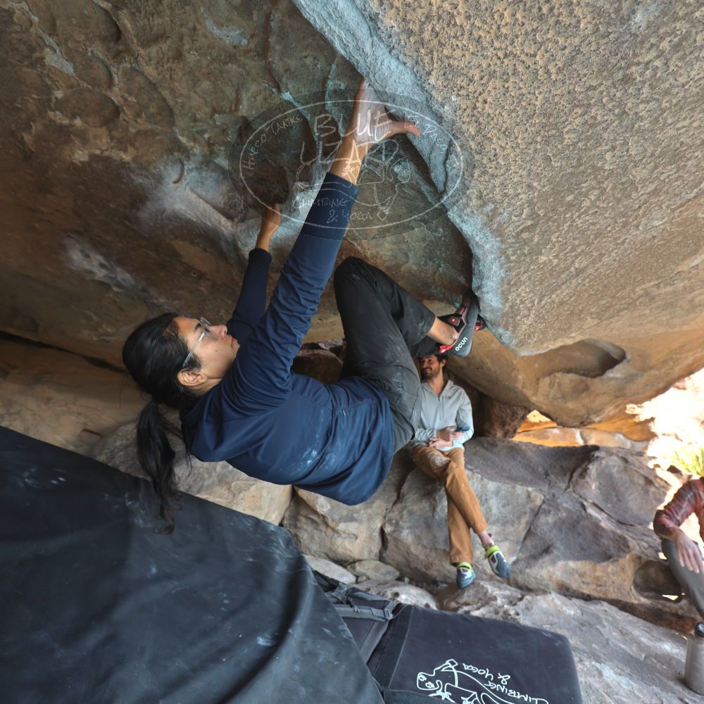 Filename: SRM_20251128_1236020.jpg
Aperture: f/4.0
Shutter Speed: 1/125
Body: Canon EOS R6
Lens: Canon EF 16-35mm f/2.8 L