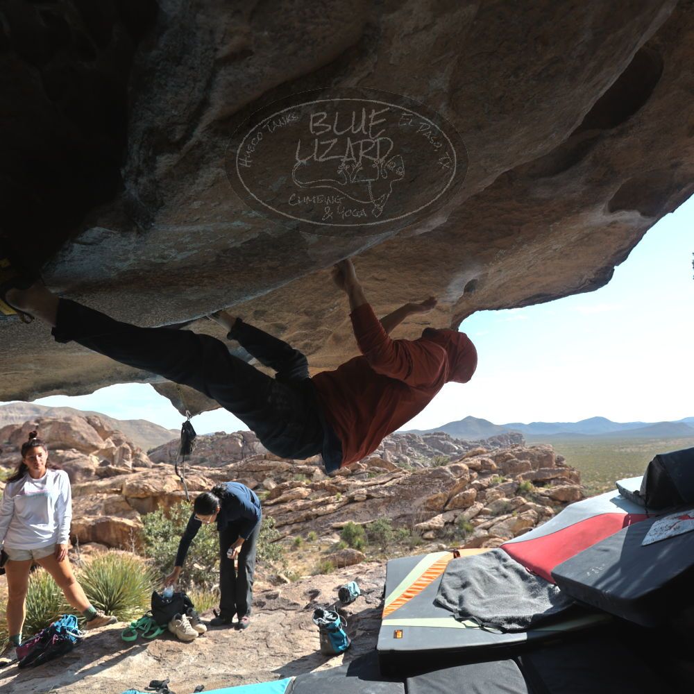 Filename: SRM_20251128_1239020.jpg
Aperture: f/4.0
Shutter Speed: 1/640
Body: Canon EOS R6
Lens: Canon EF 16-35mm f/2.8 L