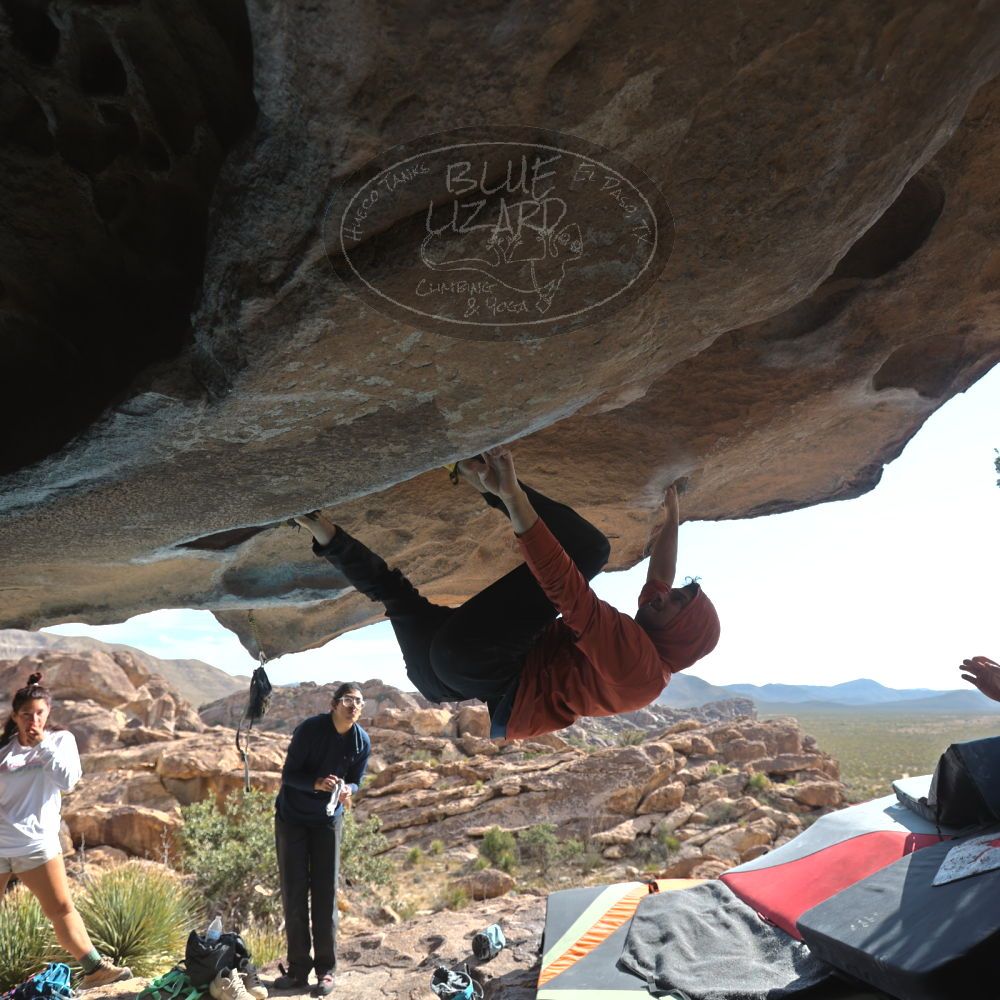 Filename: SRM_20251128_1239050.jpg
Aperture: f/4.0
Shutter Speed: 1/500
Body: Canon EOS R6
Lens: Canon EF 16-35mm f/2.8 L