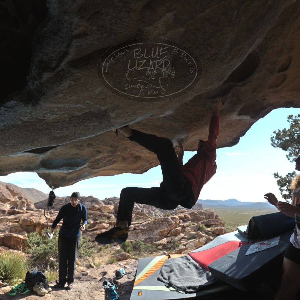 Filename: SRM_20251128_1239080.jpg
Aperture: f/4.0
Shutter Speed: 1/800
Body: Canon EOS R6
Lens: Canon EF 16-35mm f/2.8 L