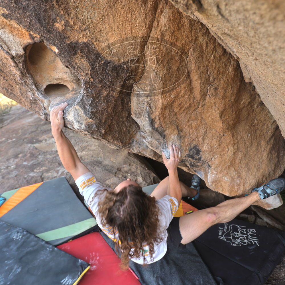 Filename: SRM_20251128_1356510.jpg
Aperture: f/4.0
Shutter Speed: 1/125
Body: Canon EOS R6
Lens: Canon EF 16-35mm f/2.8 L